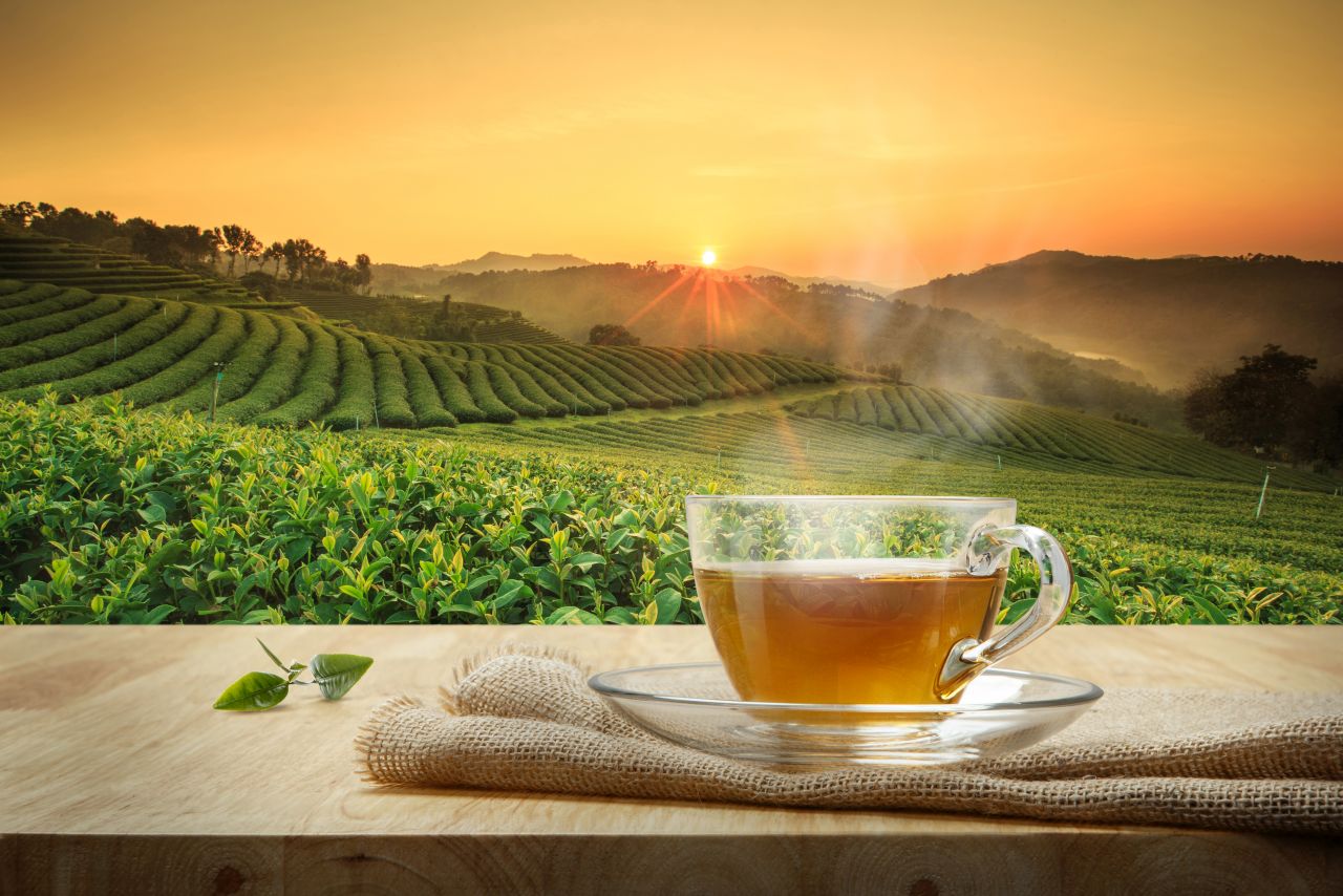 Herbaty – które warto pić?