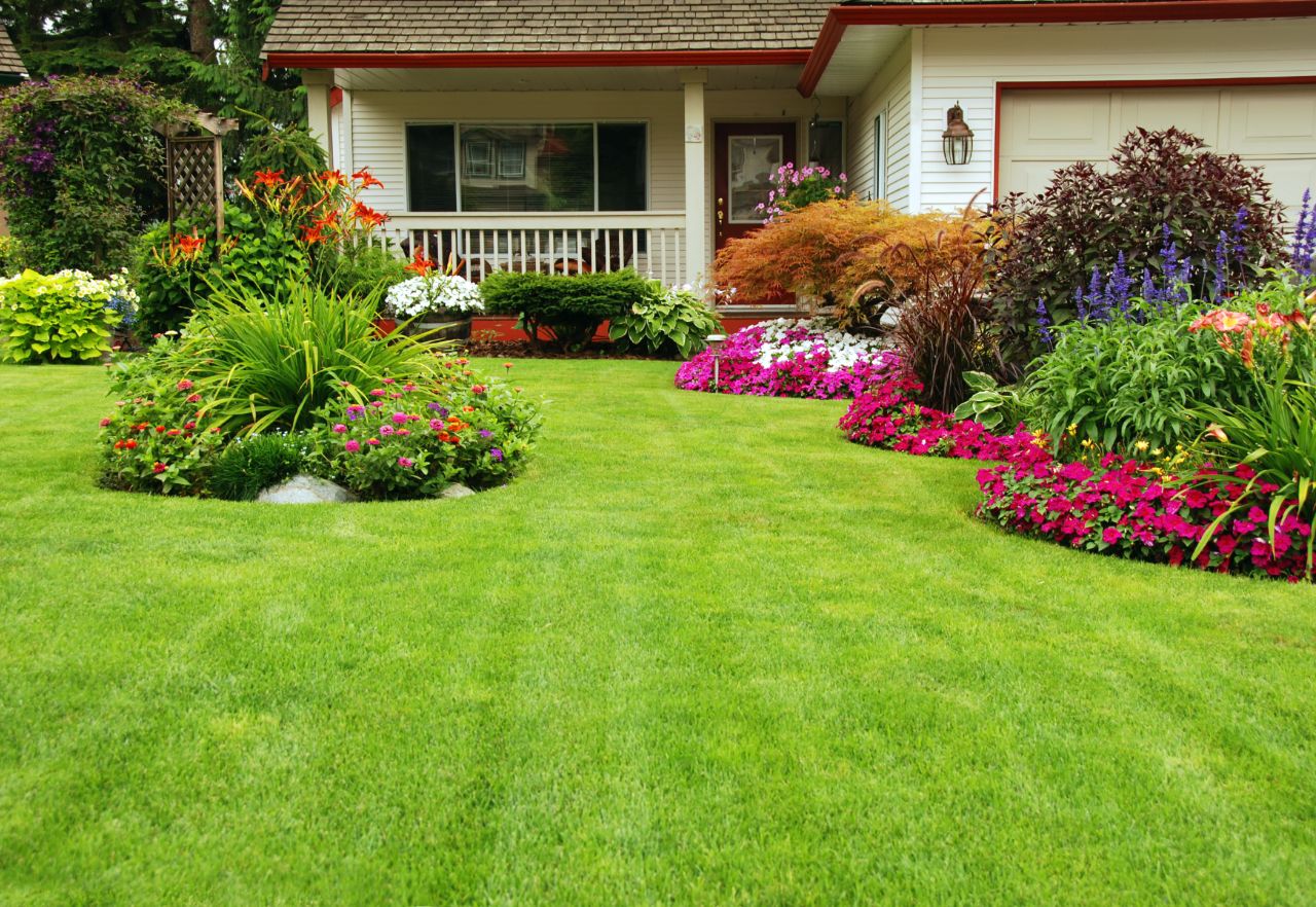 Jak możesz zadbać o swój ogród?